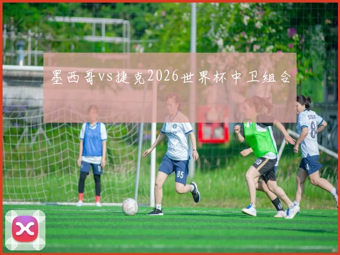 墨西哥vs捷克2026世界杯中卫组合