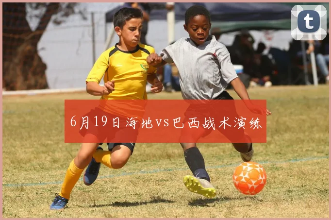 6月19日海地vs巴西战术演练