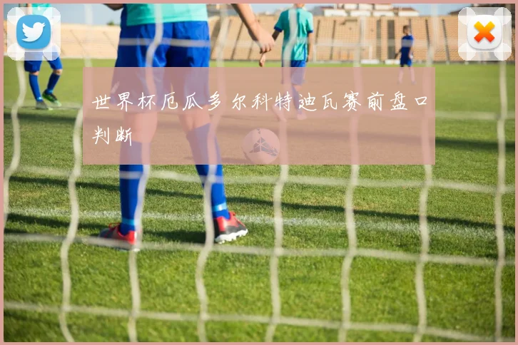 世界杯厄瓜多尔科特迪瓦赛前盘口判断