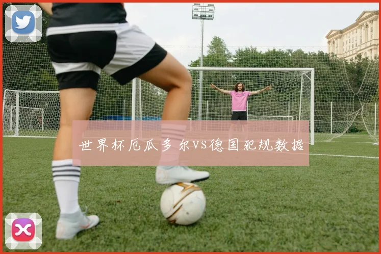 世界杯厄瓜多尔vs德国犯规数据
