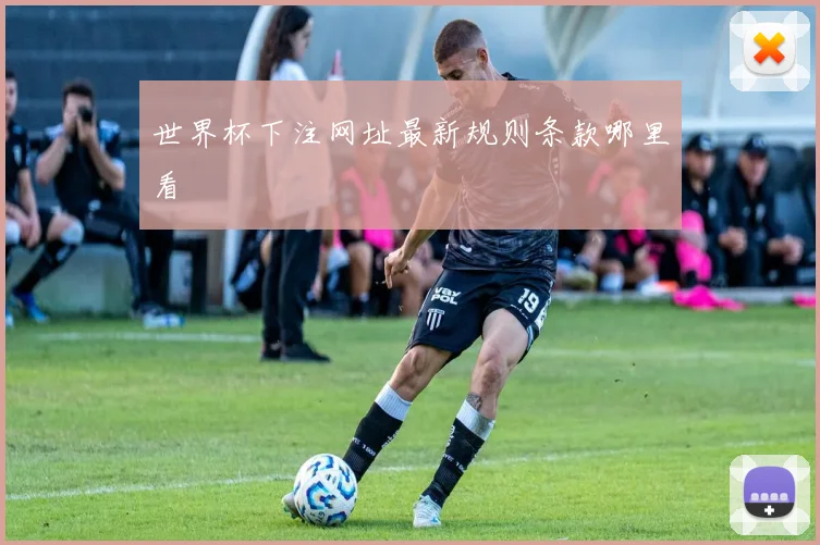 世界杯下注网址最新规则条款哪里看